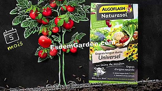 Naturasol, pelbagai organik Algoflash