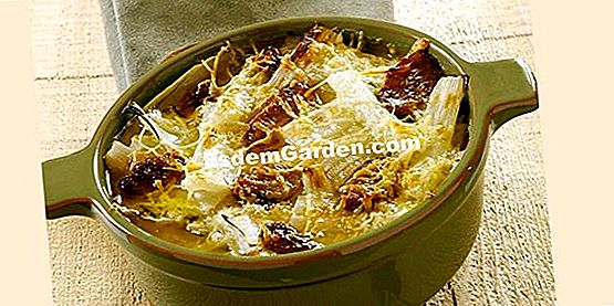 Cardons au gratin