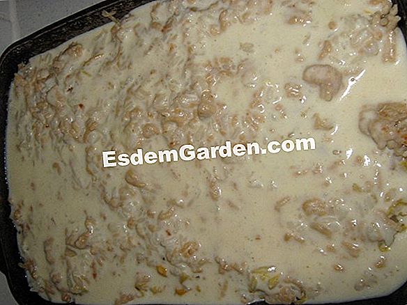 Flans au gratin với chanh