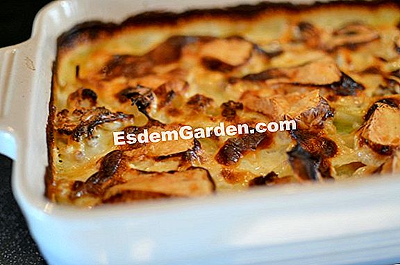 Avocado gratin med fåreost