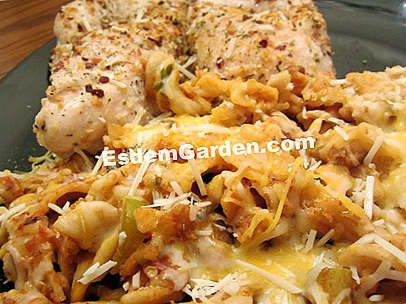 Angelica omelet