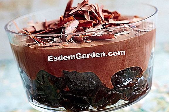 Orange mousse