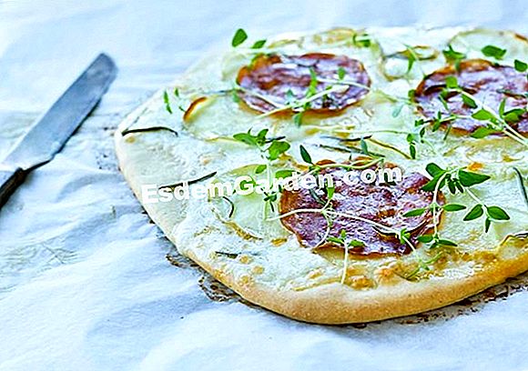 Kartoffel pandekager og salat salat