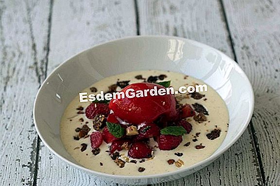 Brændt lam med grøn hvidløgssauce og kartoffelpandekager