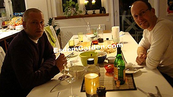 Laks boller og deres sorrel creme