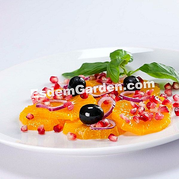 Appelsinsalat og kiks