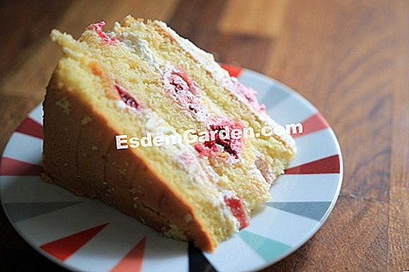Genoise med clementines