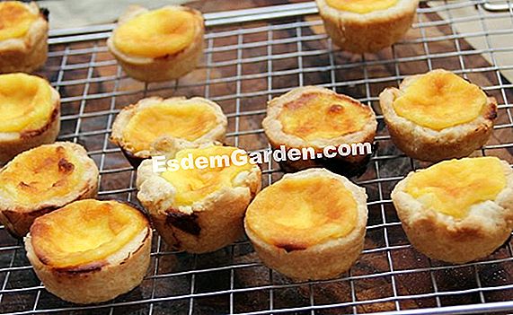 Tart solbær