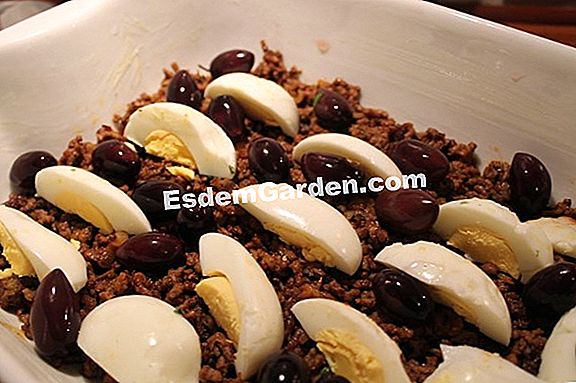 Pie med rosiner og 2 oste