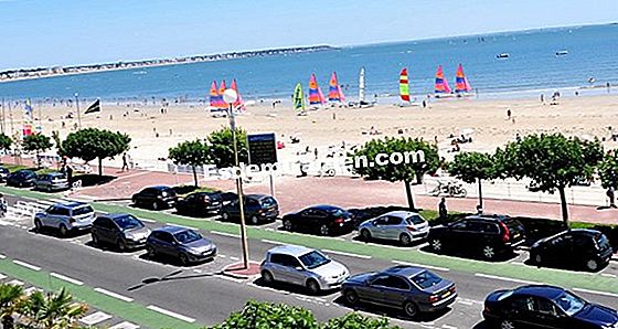 La Baule luta contra plantas invasoras