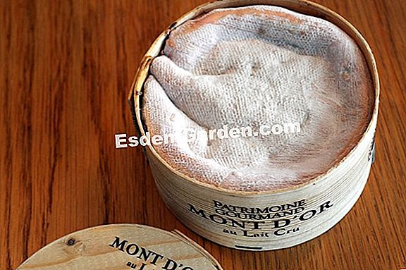 Vacherin Mont-d'or dibakar