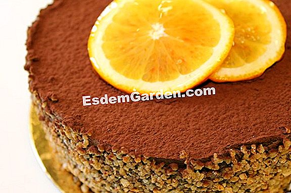 Mini chokoladekage, mandel og honning (glutenfri)