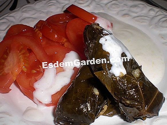 Kokkens opskrift: fyldte tomater med kalvekød og Espelette peber
