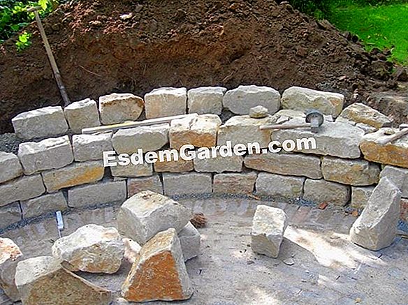 Eine Steinmauer: Quelle der Artenvielfalt im Garten