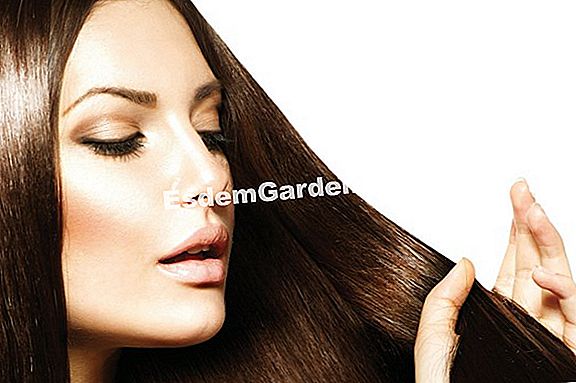 Geranie: sichere Werte