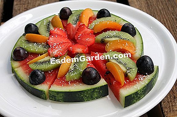 Die Melone sÀen