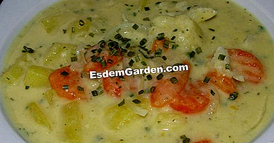 KrÀutersuppe