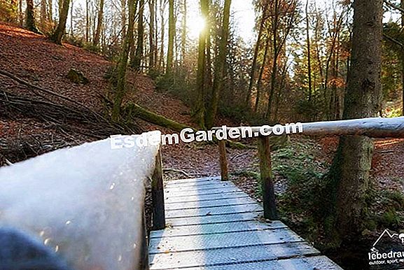Analysieren Und Balancieren Sie Den Boden Ihres Gartens 🌿 Alles Über