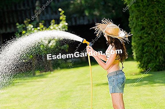 Erstellen Sie einen Rasen: Gras sÀen