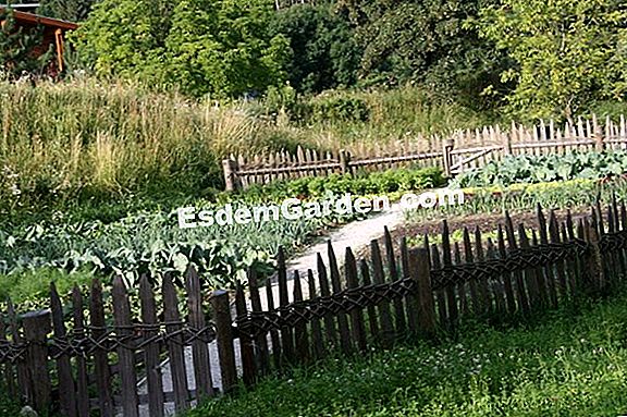 BioGemüsegarten 🌿 Alles Über Gartenarbeit Und Gartengestaltung 2024
