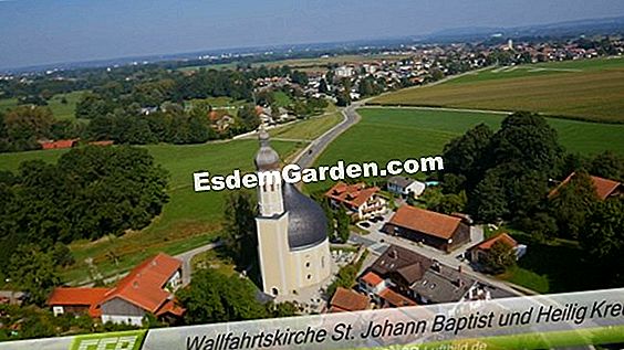 Ihrem Gemüsegarten folgen, eine Frage der Organisation