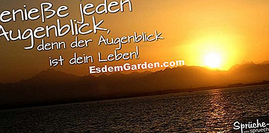 Ein letzter Abend