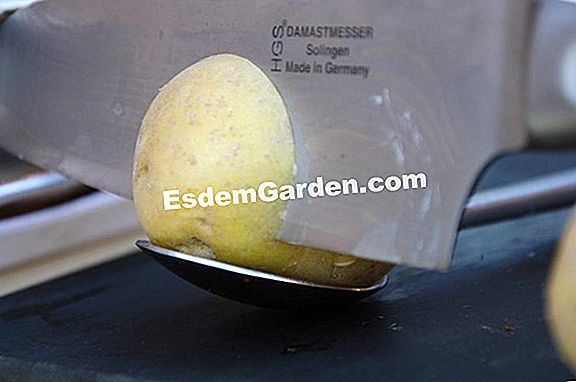 Wie kann man verhindern, dass Kartoffeln keimen?
