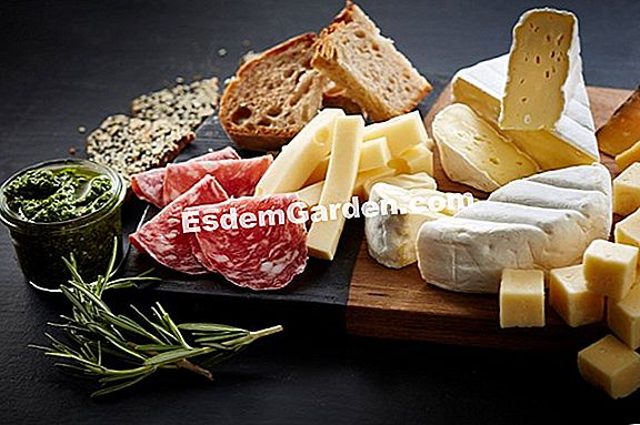 Zusammenstellung eines Pflanzgefäßes aus aromatischen Pflanzen