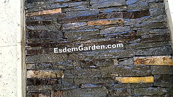 Un muro de piedra: fuente de biodiversidad en el jardín