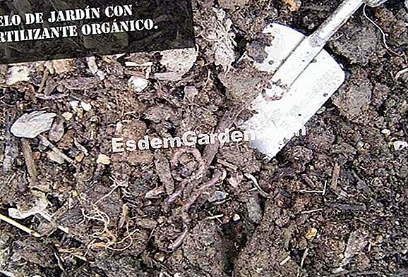 El análisis de suelo de mi jardín muestra un exceso significativo de potasa y fósforo. ¿Qué debería temer y para qué se debe?