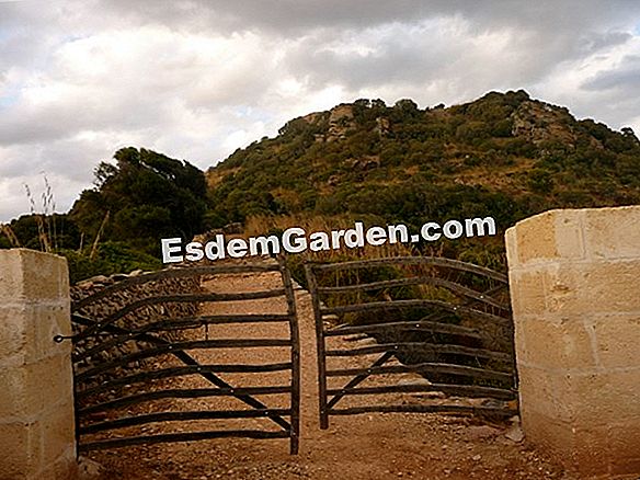 Un camino de entrada de madera
