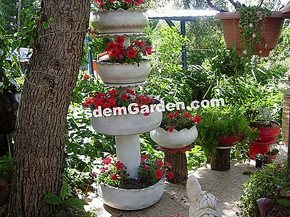 Visita el Jardin des Lianes