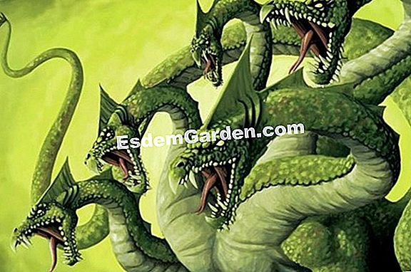 Las doce constelaciones... y la serpiente