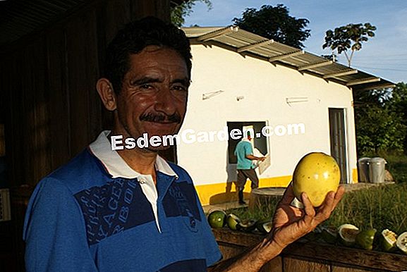 Siembra el coleo