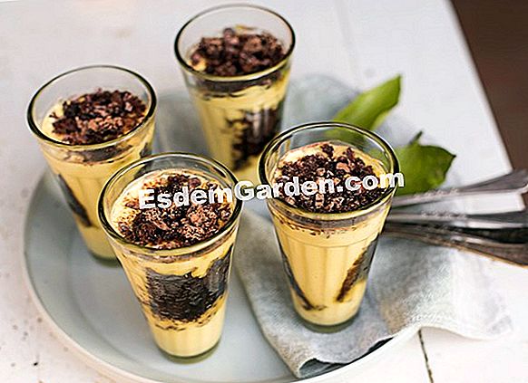 castaño de indias para la prostata