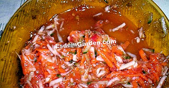 Verduras ralladas en ensalada