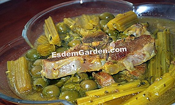 Cardons gratinados