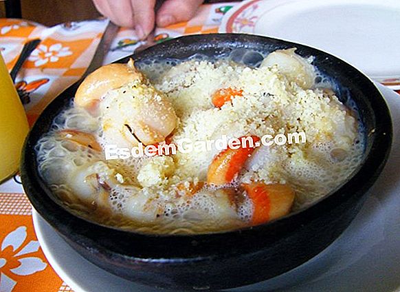 Gratinado de panqueque normando