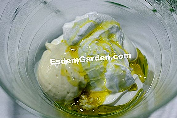 Gratinado de caqui Mascarpone