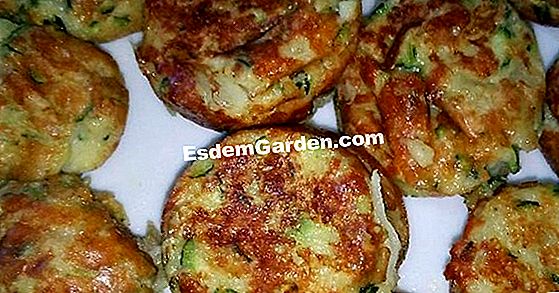 Bollos de salmón y su crema de acedera