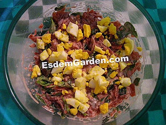 Ensalada de verdolaga y remolacha con mollejas de pato en conserva