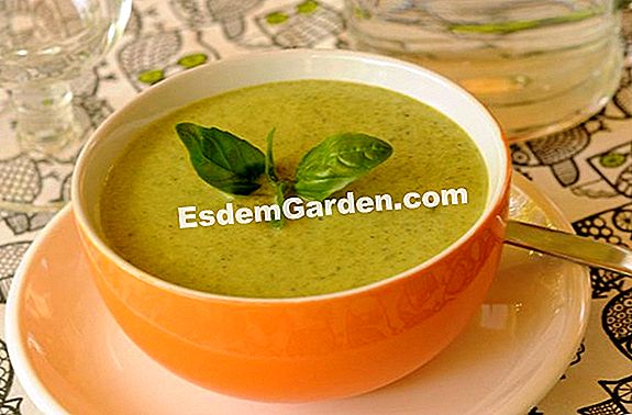 Sopa de hierbas