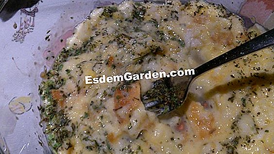 Guiso de verduras jóvenes