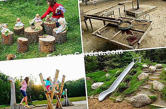 Césped: animar un área de césped con plantaciones