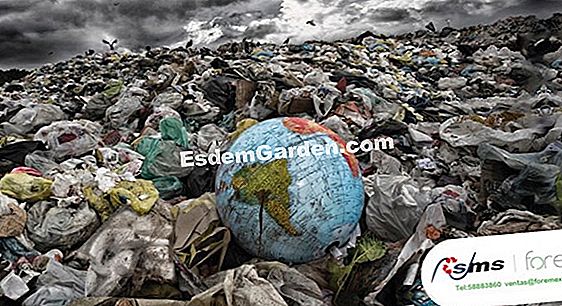 ¿Qué es la contaminación del ozono?