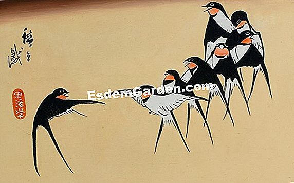 Exotismo en tus montañas