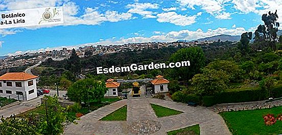 Introducción al jardín inglés