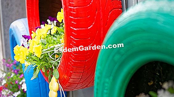 Reciclar residuos de jardín