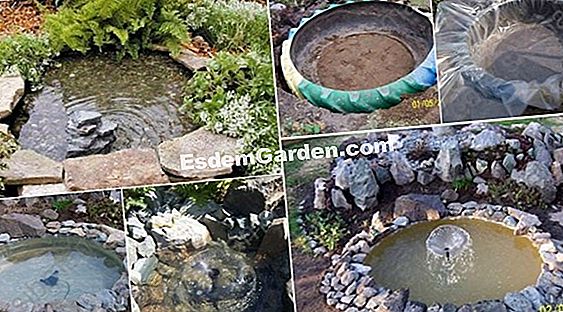 Renovar un estanque de jardín