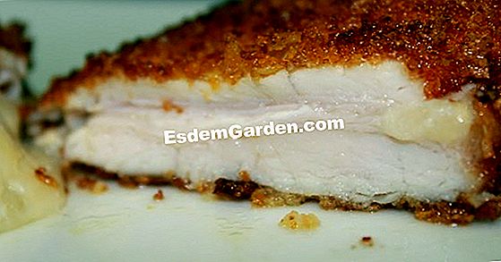 Ideas para recetas de crujientes saladas y dulces